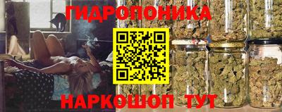 spice Краснознаменск