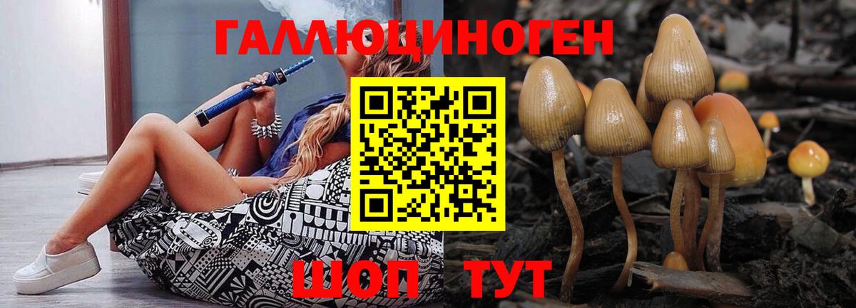 магазин  наркотиков  Вход с VPN  Псилоцибиновые грибы прущие грибы  Кимовск  Псилоцибиновые грибы Cubensis 
